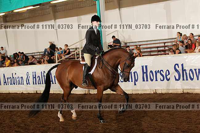 Proof 11yn_03703
