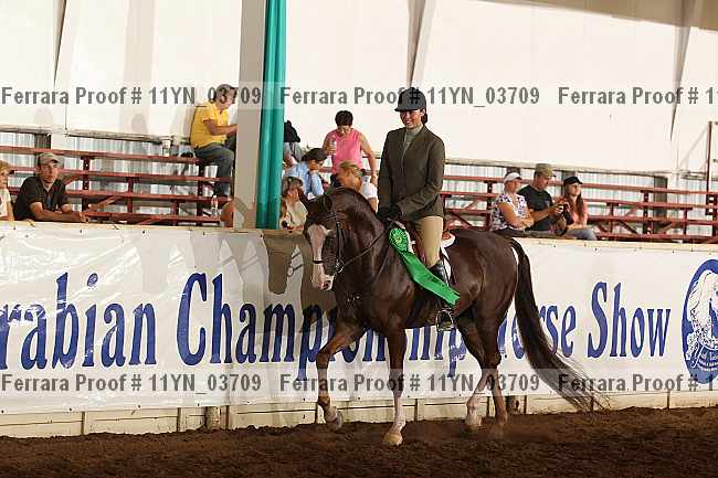 Proof 11yn_03709