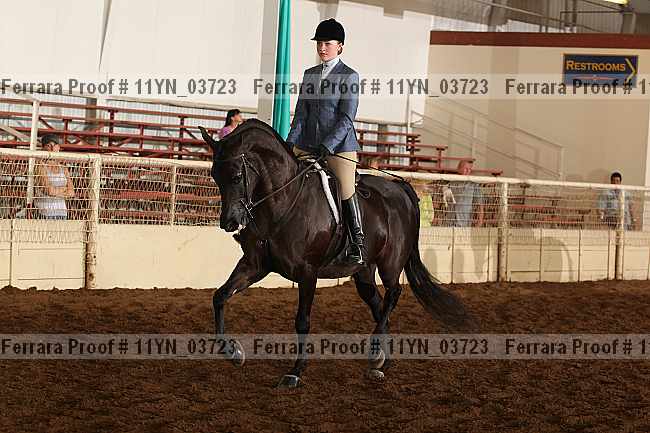 Proof 11yn_03723
