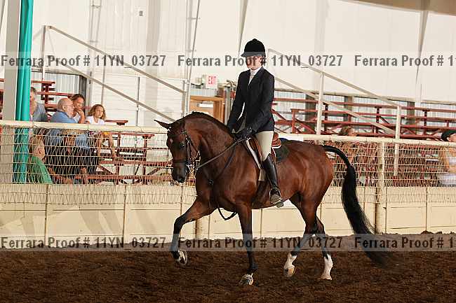 Proof 11yn_03727