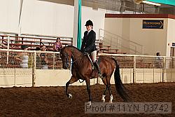 11yn_03742 proof
