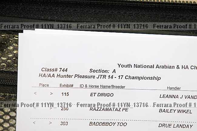 Proof 11yn_13716