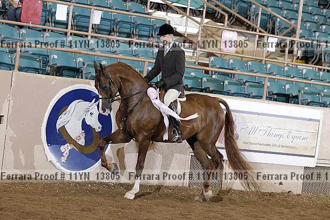 Proof 11yn_13805