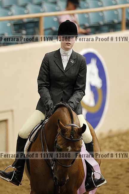 Proof 11yn_13808