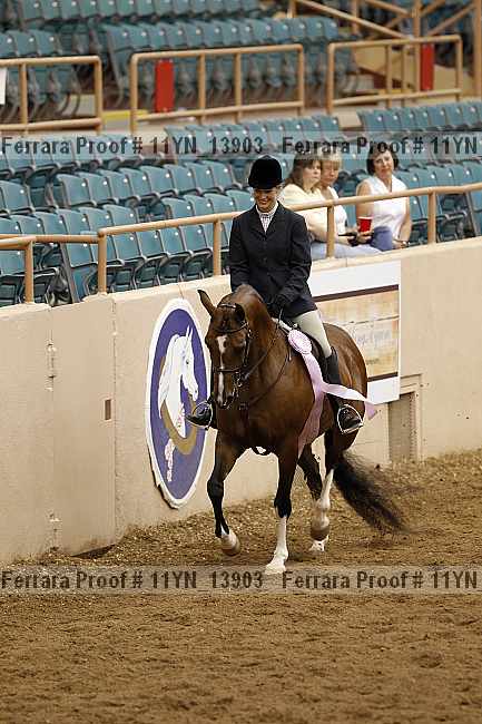 Proof 11yn_13903