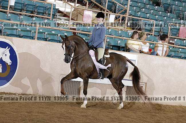 Proof 11yn_13905