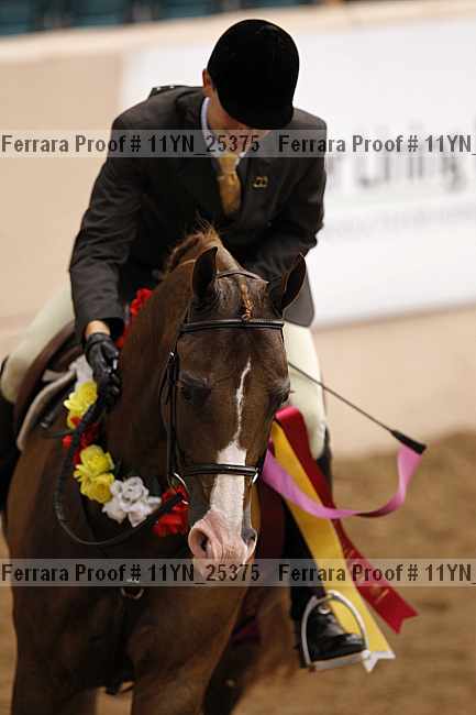 Proof 11yn_25375