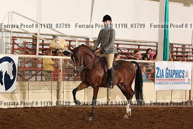 Proof 11yn_03799