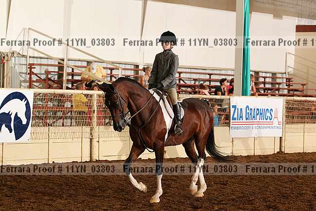 Proof 11yn_03803