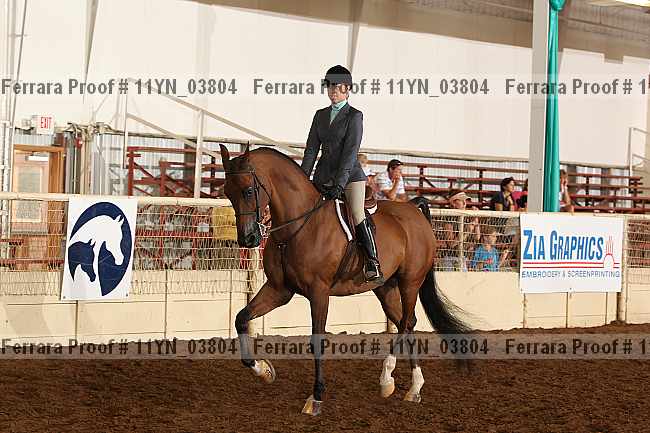 Proof 11yn_03804