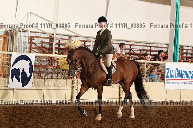 Proof 11yn_03805