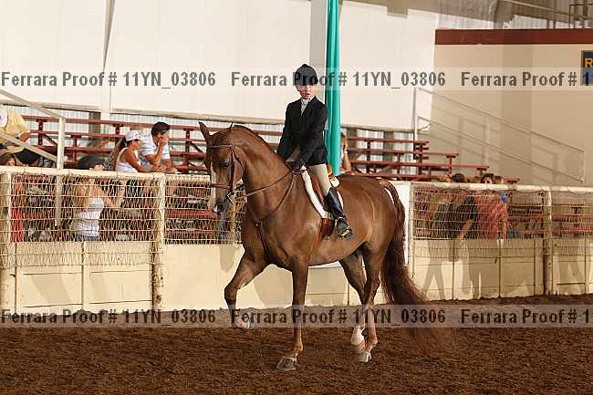 Proof 11yn_03806