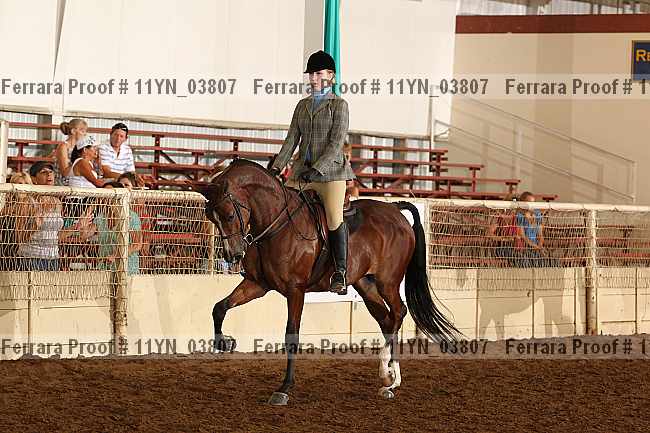 Proof 11yn_03807