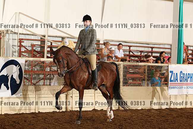 Proof 11yn_03813