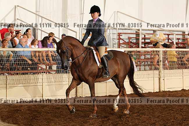 Proof 11yn_03815