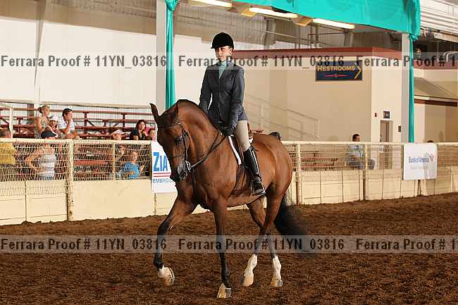 Proof 11yn_03816