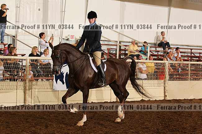 Proof 11yn_03844