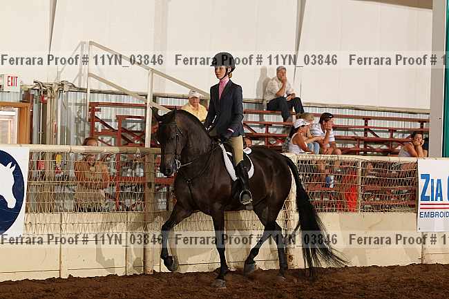 Proof 11yn_03846