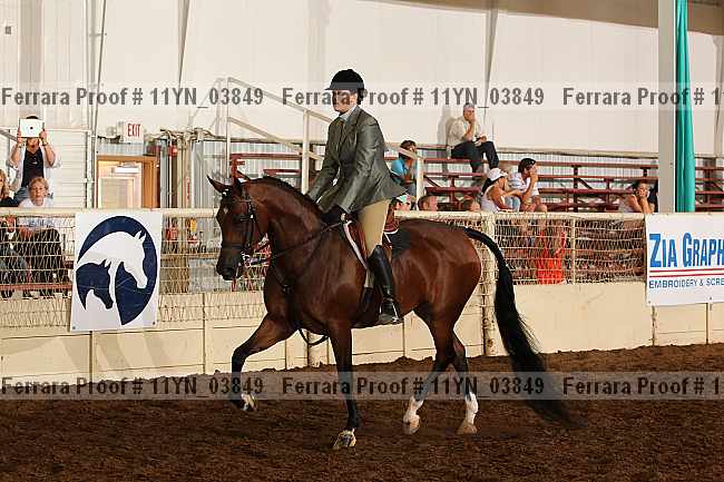 Proof 11yn_03849