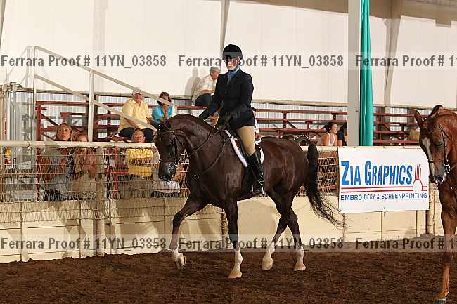 Proof 11yn_03858