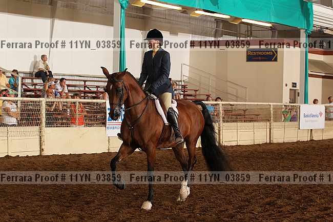 Proof 11yn_03859