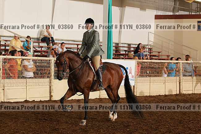 Proof 11yn_03860