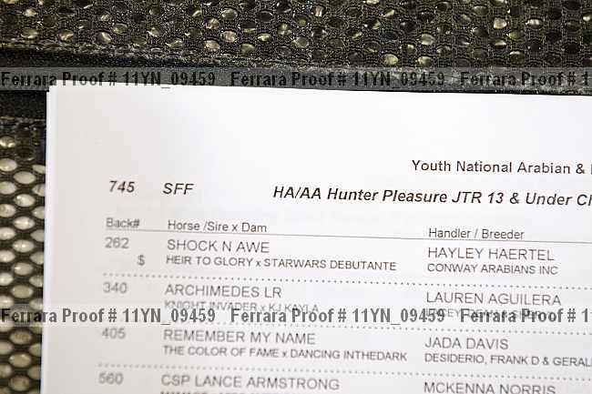 Proof 11yn_09459