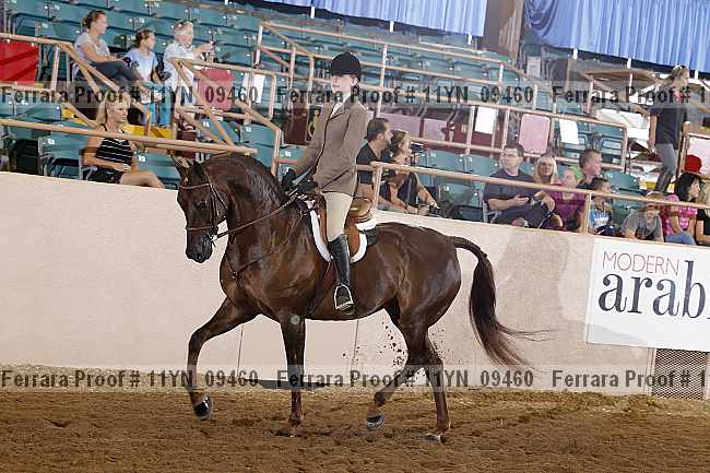 Proof 11yn_09460