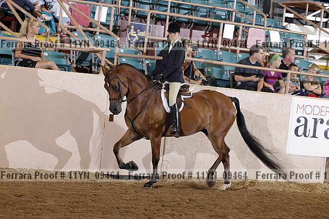 Proof 11yn_09464