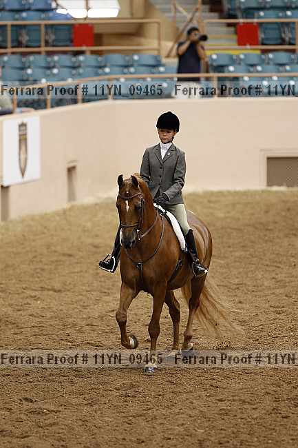 Proof 11yn_09465