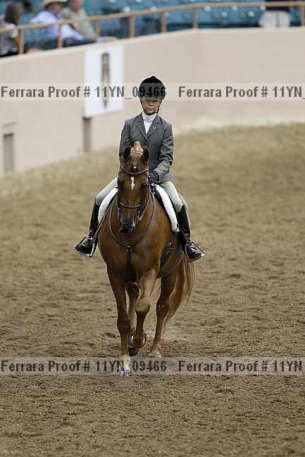 Proof 11yn_09466