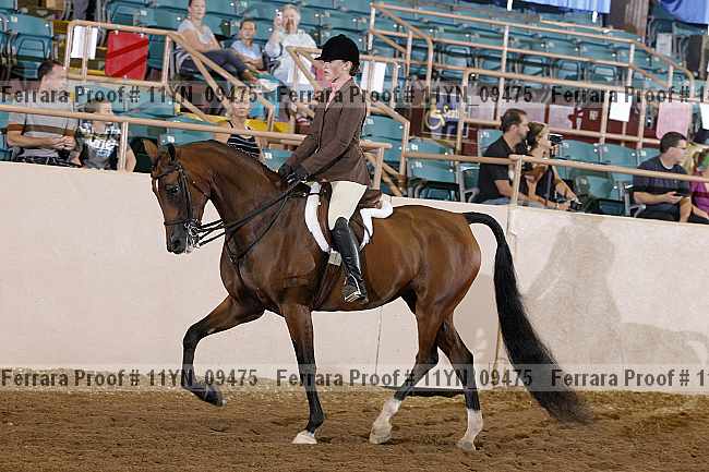 Proof 11yn_09475