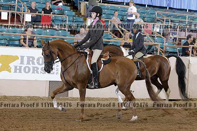 Proof 11yn_09476