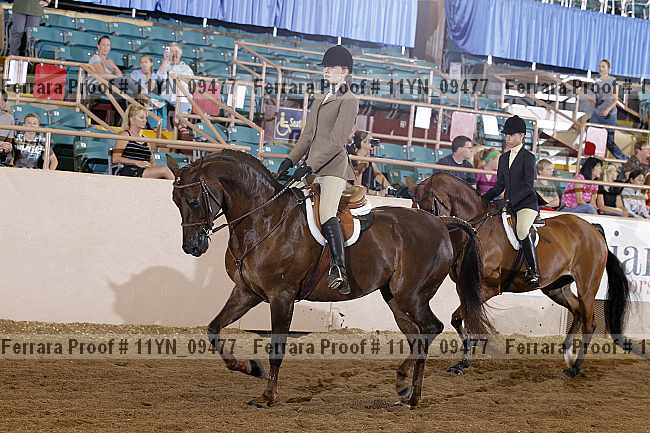 Proof 11yn_09477