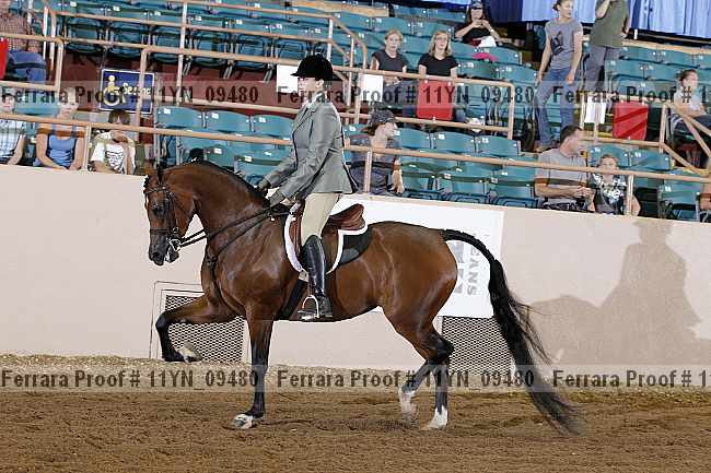 Proof 11yn_09480