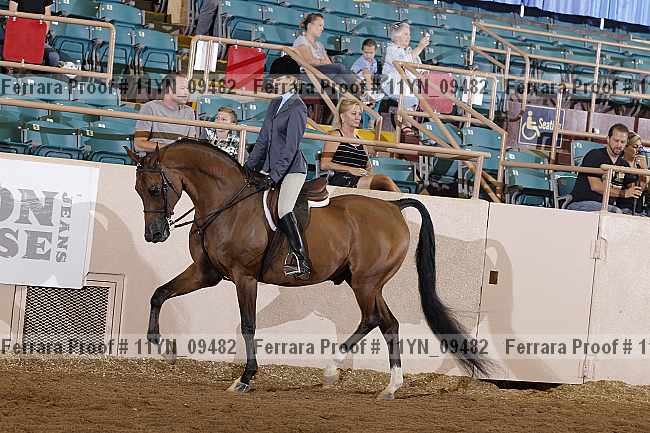 Proof 11yn_09482