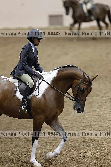 Proof 11yn_09483