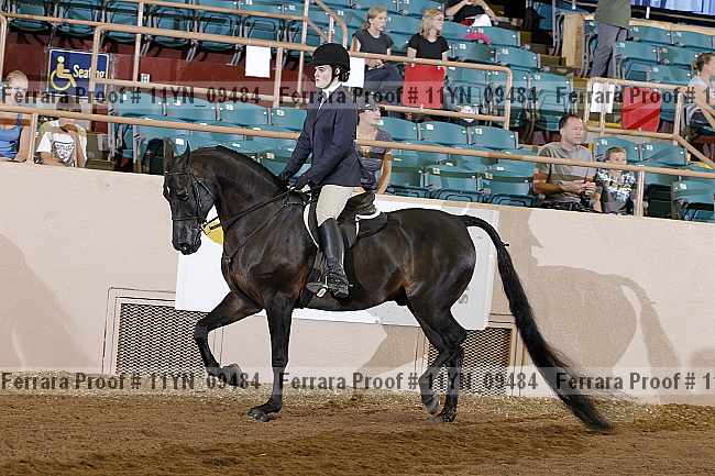 Proof 11yn_09484