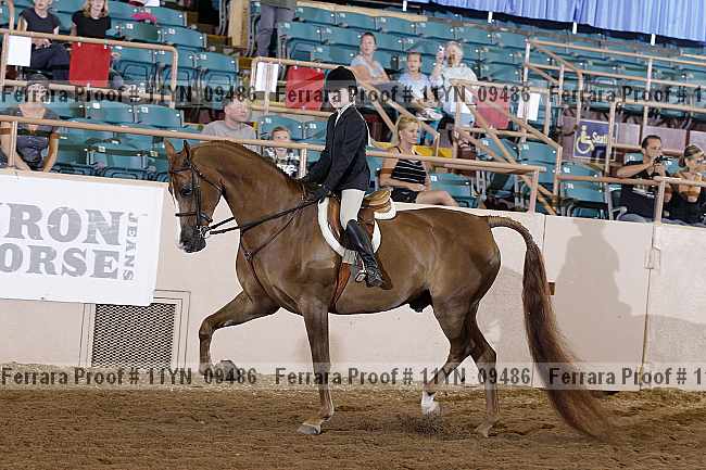 Proof 11yn_09486