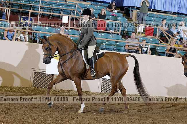 Proof 11yn_09488