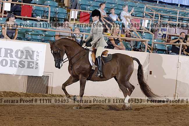 Proof 11yn_09493