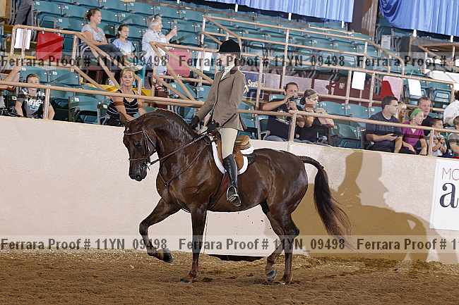 Proof 11yn_09498