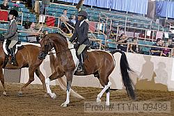 11yn_09499 proof