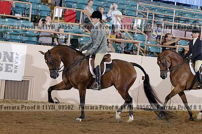 Proof 11yn_09502