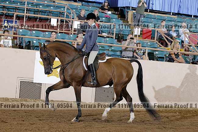 Proof 11yn_09504