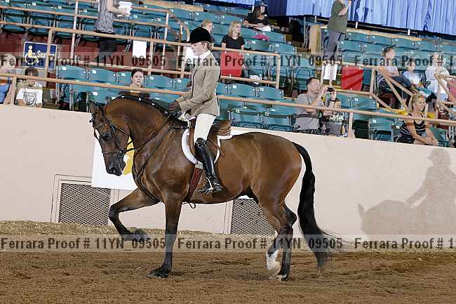 Proof 11yn_09505