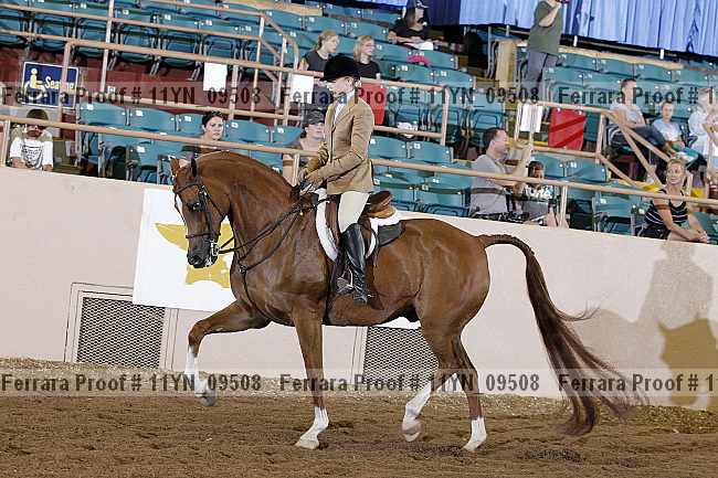Proof 11yn_09508