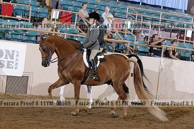 Proof 11yn_09509