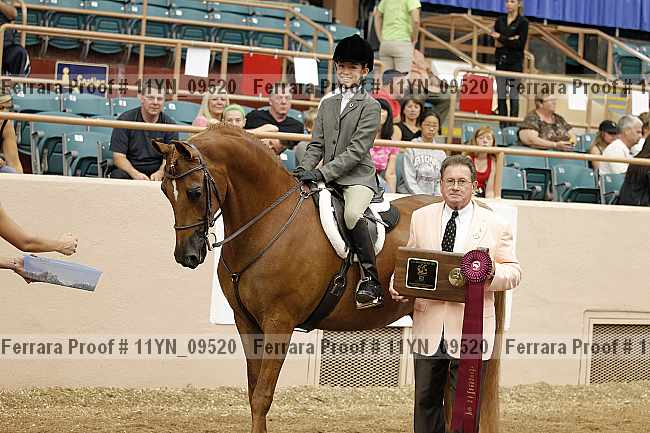 Proof 11yn_09520