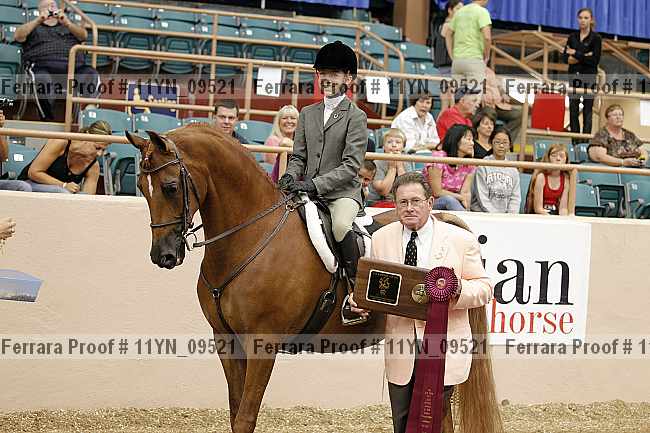 Proof 11yn_09521